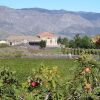 Отель Etna Wine Azienda Agrituristica, фото 42