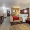 Отель Comfort Inn & Suites, фото 7