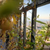 Отель Il Saretto, фото 23