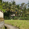 Отель Eden House Ubud Bali, фото 14