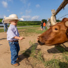 Отель Wildcatter Ranch & Resort, фото 19