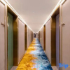 Отель Manxin Tianjin Jinwan Plaza Hotel, фото 4