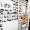 Отель Jamilla Boutique Inn - Hostel, фото 13