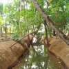 Отель Munroe Coconut Homestay, фото 24
