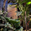 Отель Wild Coffee Retreat (Adults only), фото 17