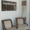 Отель Harmonya, фото 10