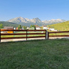 Отель Zabljak Apartments Dacic, фото 15