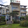 Отель Gyulhyanggi Pension, фото 32