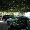 Отель apartman 2, фото 1