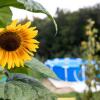 Отель Glamping - Hayrack Vesel, фото 1