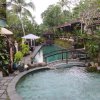 Отель Joglo Plawang Villa & Resort, фото 11