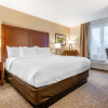 Отель Comfort Inn & Suites, фото 8