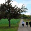 Отель Privathotel - Garni - Pension zur Freystatt am Wasserschloss, фото 12