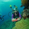 Отель Bongo Bongo Divers, фото 12