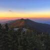 Отель Albert's Lodge at Mt. Mitchell, фото 11