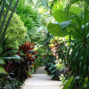 Отель White House Beach Resort And Spa, фото 27