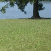 Отель Lake Oconee Townhouse, фото 8