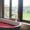 Отель Villa Kami Ubud, фото 6