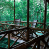 Отель Tree Houses Hotel Costa Rica, фото 35