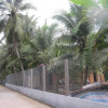 Отель Coconut Homestay, фото 17