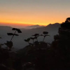 Отель Camp Awara Kanatal, фото 9