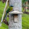 Отель Casa San Carlos Lodge, фото 17