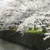 Отель Benex Yonezawa, фото 16