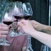 Отель Marlborough Wine Country B&B, фото 10