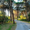 Отель App.To Le Bouganville a 900 Mt Dalla Spiaggia, фото 3