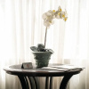 Отель Emmarentia Guest house, фото 29