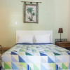 Отель Blue Parrot Inn, фото 6