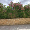 Отель Villa Scopello, фото 32