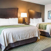Отель Comfort Inn & Suites, фото 3