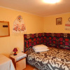 Отель Pensiunea Lucica, фото 19