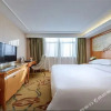 Отель Vienna Classic Hotel (Xi'an Big Wild Goose Pagoda Jindou), фото 27