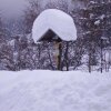 Отель Gästehaus Post, фото 14