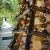 Отель The Brando, Tetiaroa Private Island, фото 11