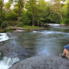 Отель The Woodstock Inn on the Millstream, фото 31