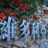Отель Memedee Manor Homestay, фото 10