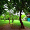 Отель Vraksh Resort, фото 33