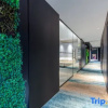 Отель Mo Tai Concept Hotel, фото 4