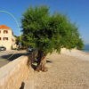 Отель Piv - 10 m From Beach - A3, фото 1