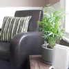Отель Lillys Road Townhouse, фото 6