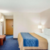 Отель Comfort Inn, фото 3