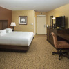 Отель The Park Vista - a DoubleTree by Hilton Hotel - Gatlinburg, фото 5