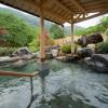 Отель Shogawa Onsen Furyu Midou Zashiki Yumetsuzuri, фото 18