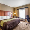 Отель Comfort Inn & Suites North, фото 7