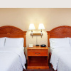 Отель Orlando Palms Hotel, фото 1