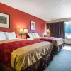 Отель Econo Lodge Inn &Amp Suites Conference Center, фото 11