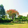 Отель Green forest Homestay, фото 23